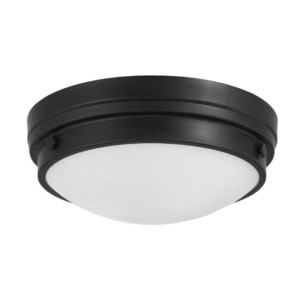 LED Ceiling Light