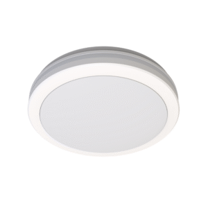 LED Ceiling Light