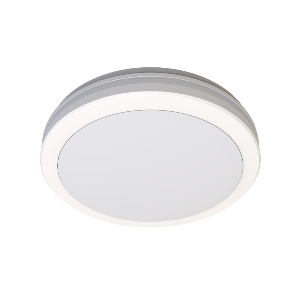 LED Ceiling Light