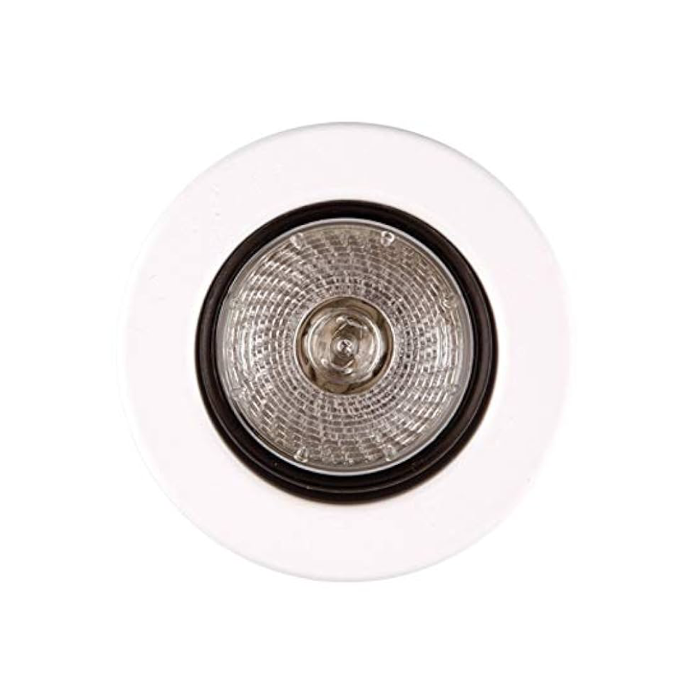 LED Down Light